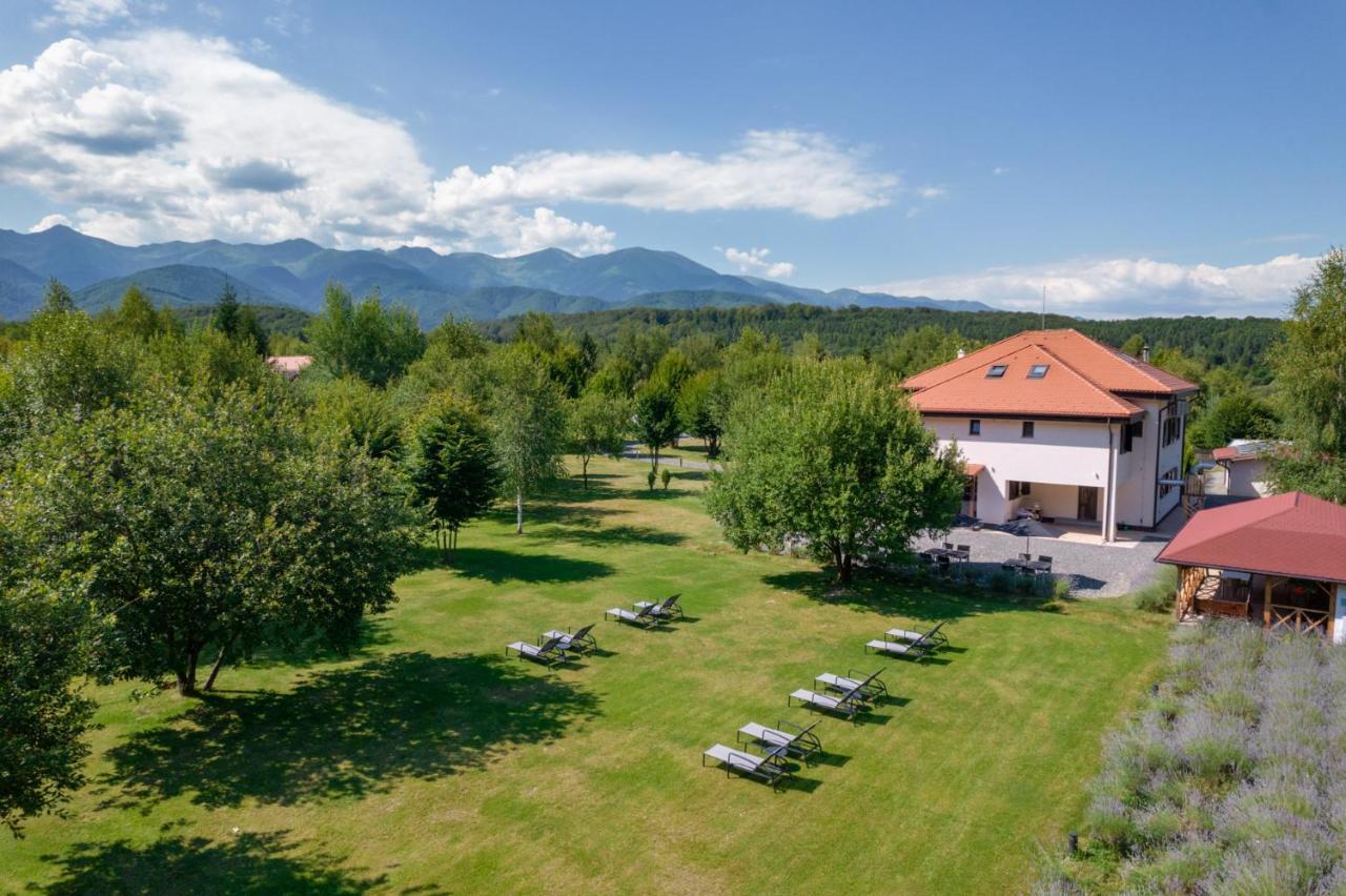 Pensiunea Negoiu Porumbacu de Sus Esterno foto