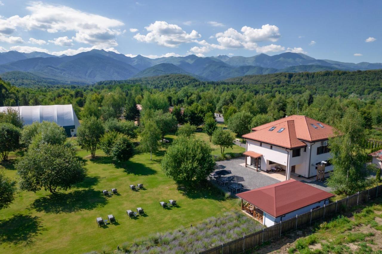 Pensiunea Negoiu Porumbacu de Sus Esterno foto