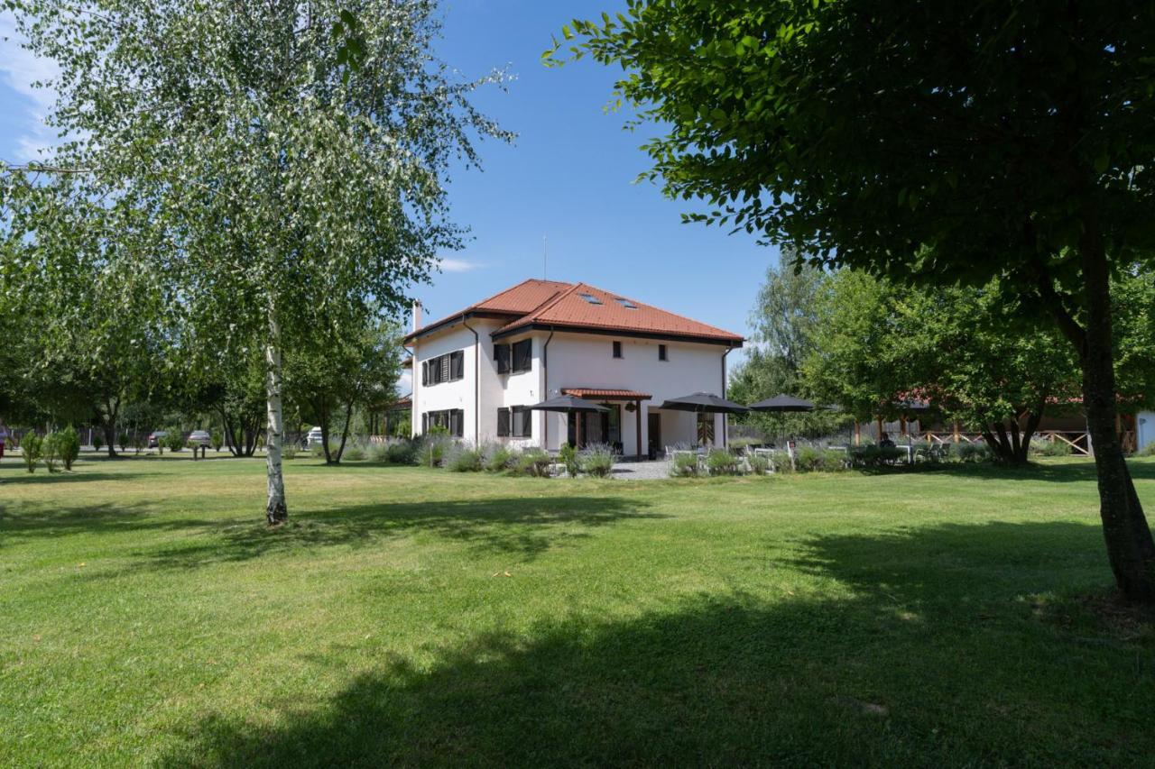 Pensiunea Negoiu Porumbacu de Sus Esterno foto