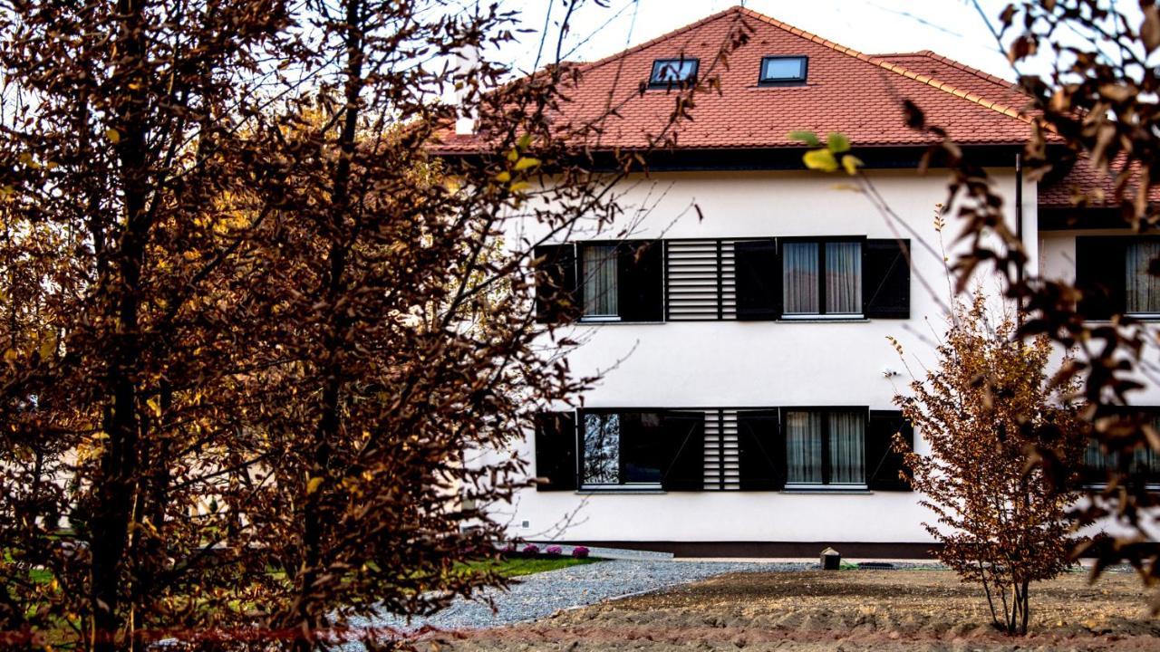Pensiunea Negoiu Porumbacu de Sus Esterno foto