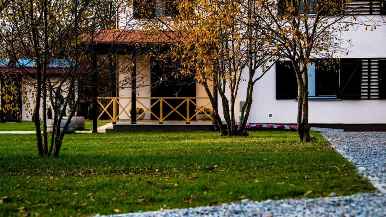 Pensiunea Negoiu Porumbacu de Sus Esterno foto